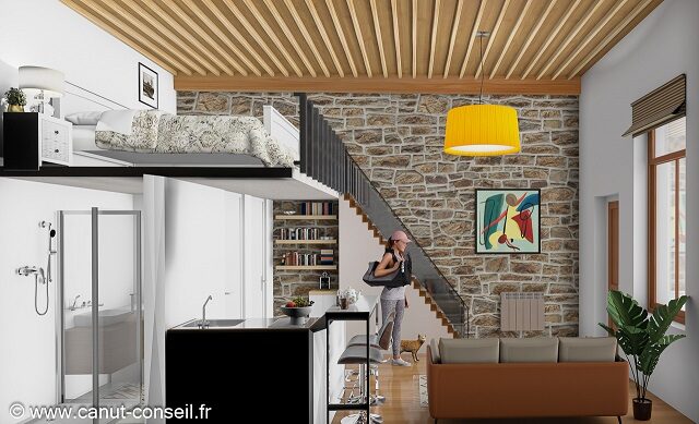 canut conseil immobilier