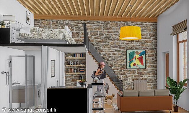 Canut Conseil Immobilier